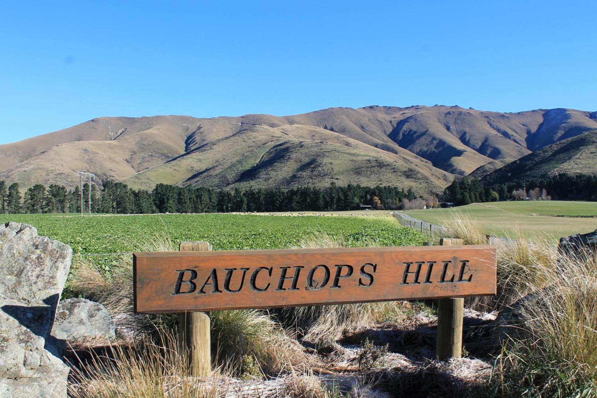 Bauchops Hill Station Farmstay Burkes Pass Exterior foto